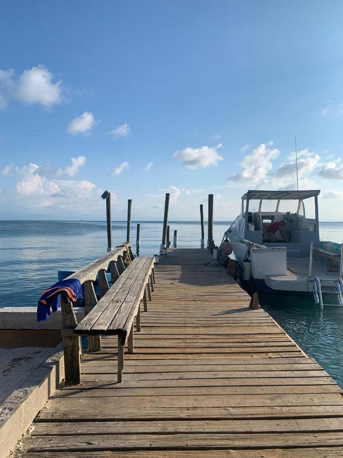 Paradise Divers Hotel Utila Zewnętrze zdjęcie